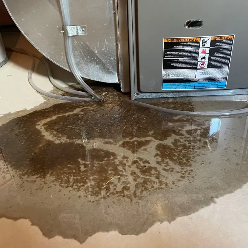 Pipe Burst and Leak Restoration in Brookfield Center, OH