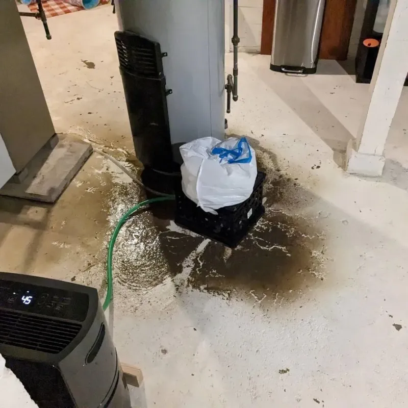 Sewage Backup Cleanup Service in Brookfield Center, OH